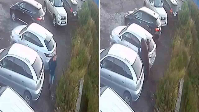 Video: Uomo scampa all’attacco di un orso in un parcheggio in Russia