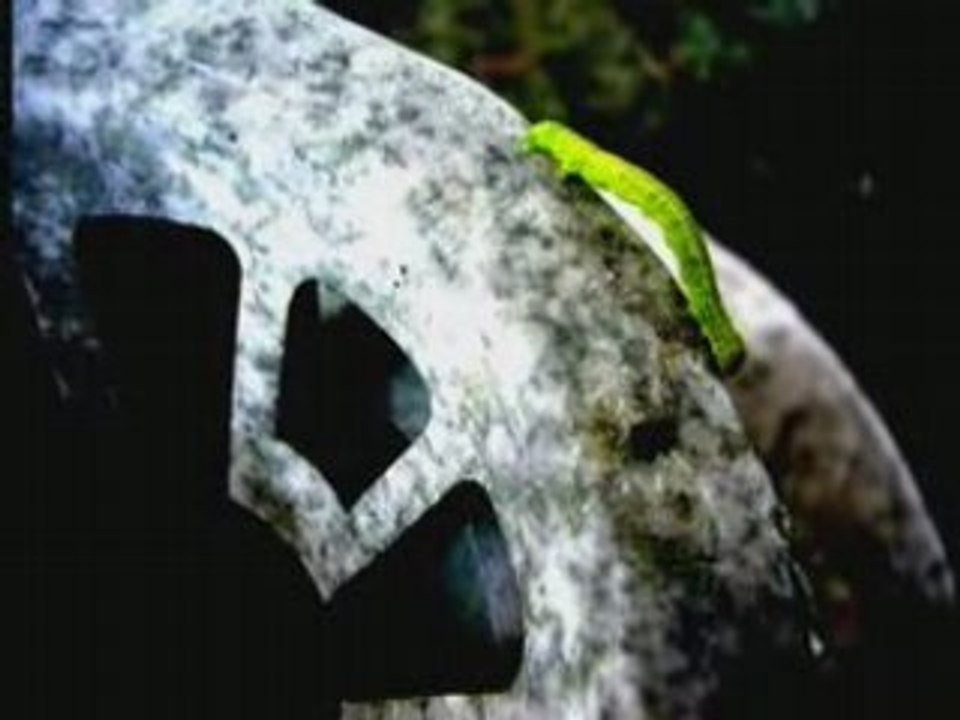 Artistes Inconnus spot