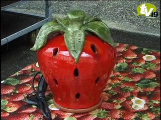 Fête de la fraise à Beaulieu sur Dordogne