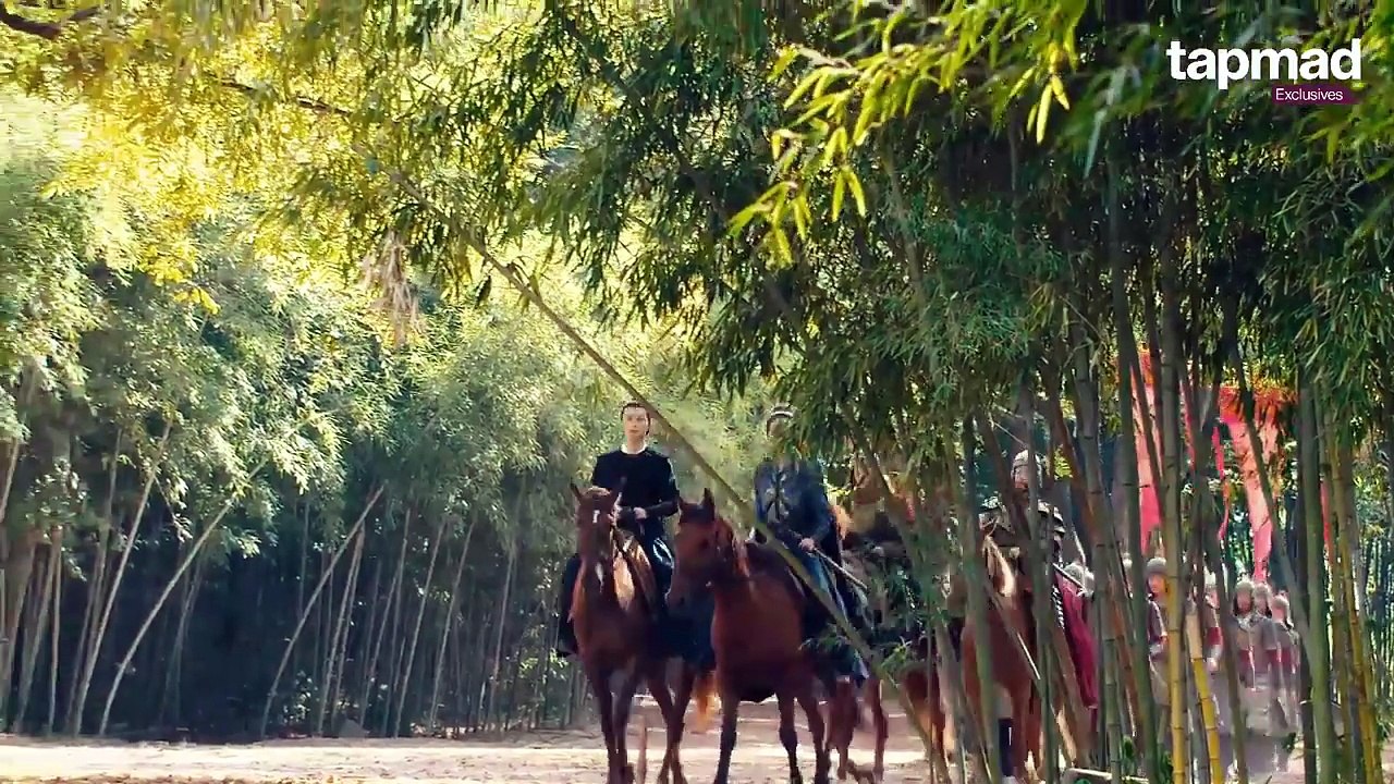 The Romance of Tiger & Rose - Episode 12 _ Audio_ Hindi Urdu _ Chinese Show _ Zhao Lu - Ding Yu Xi