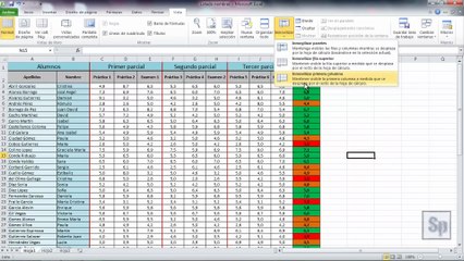 Excel - Fijar filas en la parte superior. Inmovilizar filas o columnas. Tutorial en español HD