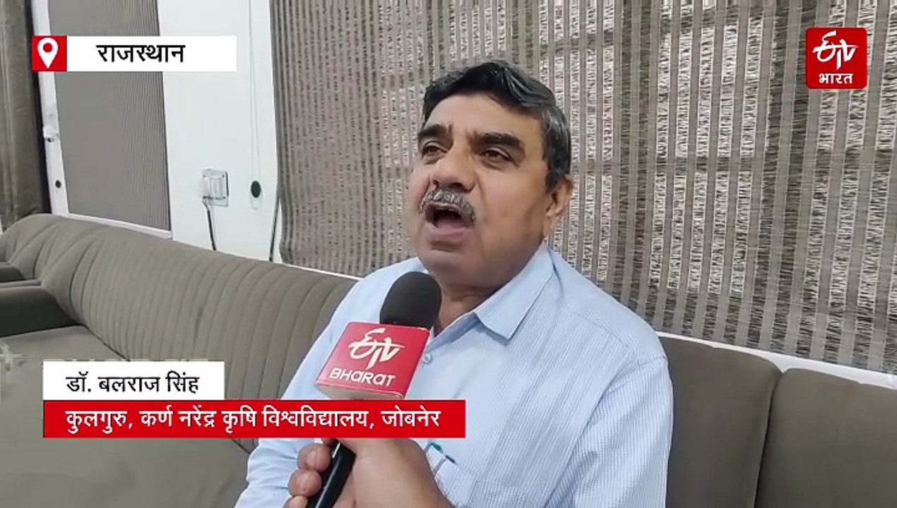 मोटा अनाज बनेगा सेहत का सहारा, जौ बढ़ाएगा तंदरुस्ती तो मूंगफली में मिलेगा ज्यादा प्रोटीन