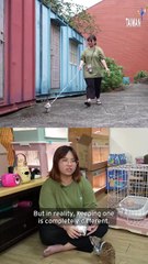 Taiwan Potentially Banning Meerkats as Pets