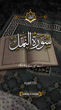 surah Al namal || 1 million followers #islamicknowledge #ajmalrazaqadri #molanatariqjameel #jashaneidmiladnabi #unfrezzmyaccount #quran #madina #trending #islamic #islam #muslim #viral #1millionviews #capcut