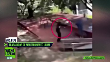 En CCH Sur, un alumno asesinó, hirió y saltó desde un edificio