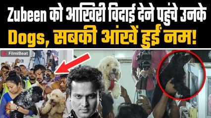 Zubeen Garg Funeral Live |अंतिम दर्शन के लिए Singer के पालतू Dogs को लाया गया  | Emotional Moment