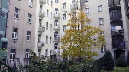 O malých věcech | movie | 2023 | Official Trailer