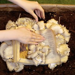 N'utilisez pas de pot avant d'avoir vu ces idées ! 🤯