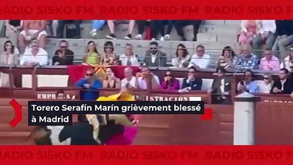 🚨🇪🇸 FLASH | Drame à Madrid Le torero Serafín Marín (42 ans) a été violemment encorné 🐂 lors d’une corrida à Las Ventas. Blessure de 30 cm à la cuisse ➡️ opération d’urgence 🏥. Pronostic grave, son état reste sous surveillance.