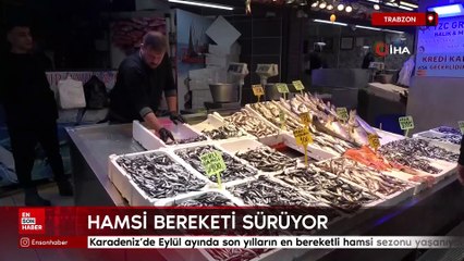 Trabzon'da hamsi bereketi sürüyor