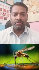 डेंगू बुखार में एंटीबायोटिक दवा ।