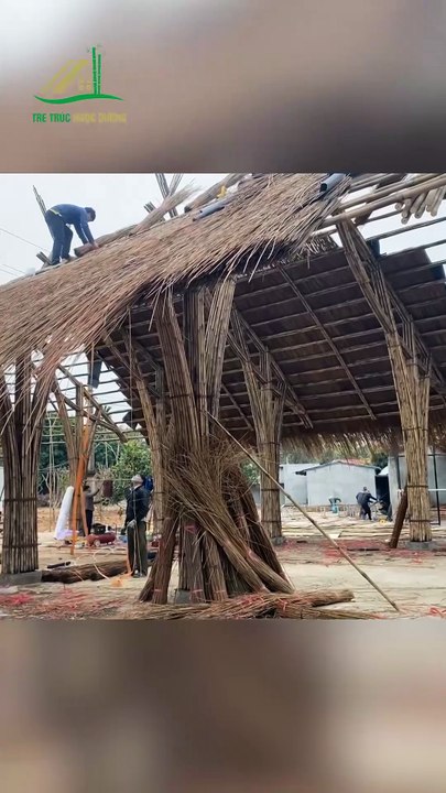 Làm Tay Đòn Cho Phần Mái Và Lợp Lá Guột Cho Nhà tre mái lá Phần 3 - Tre trúc Ngọc Dương