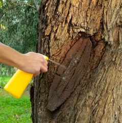 Donnez vie à l'Antiquité grâce à ces travaux créatifs 🗿🖌️