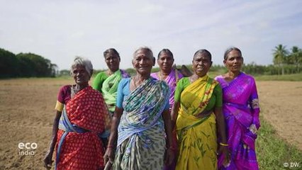 Dalit women in India fight caste discrimination with farming