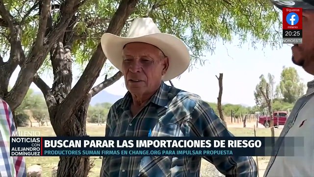 Ganaderos y consumidores impulsan campañas para mejorar calidad del ganado en la frontera sur