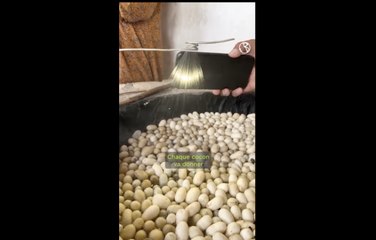 À la rencontre des grands artisans d’Ouzbékistan