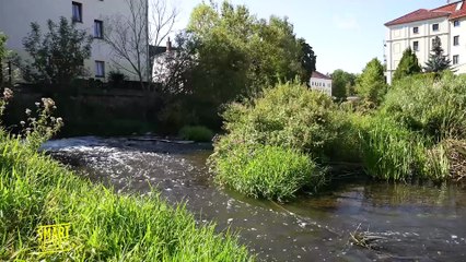 Infrastrukturen für den Hochwasserschutz: Ist es möglich, eine Überschwemmung vorherzusagen?