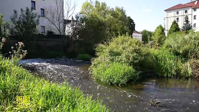 Infraestruturas contra inundações na Alemanha: É possível prever uma inundação?