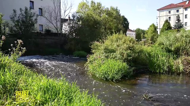 Инфраструктура для борьбы с наводнениями в Германии: Можно ли предсказать наводнение?