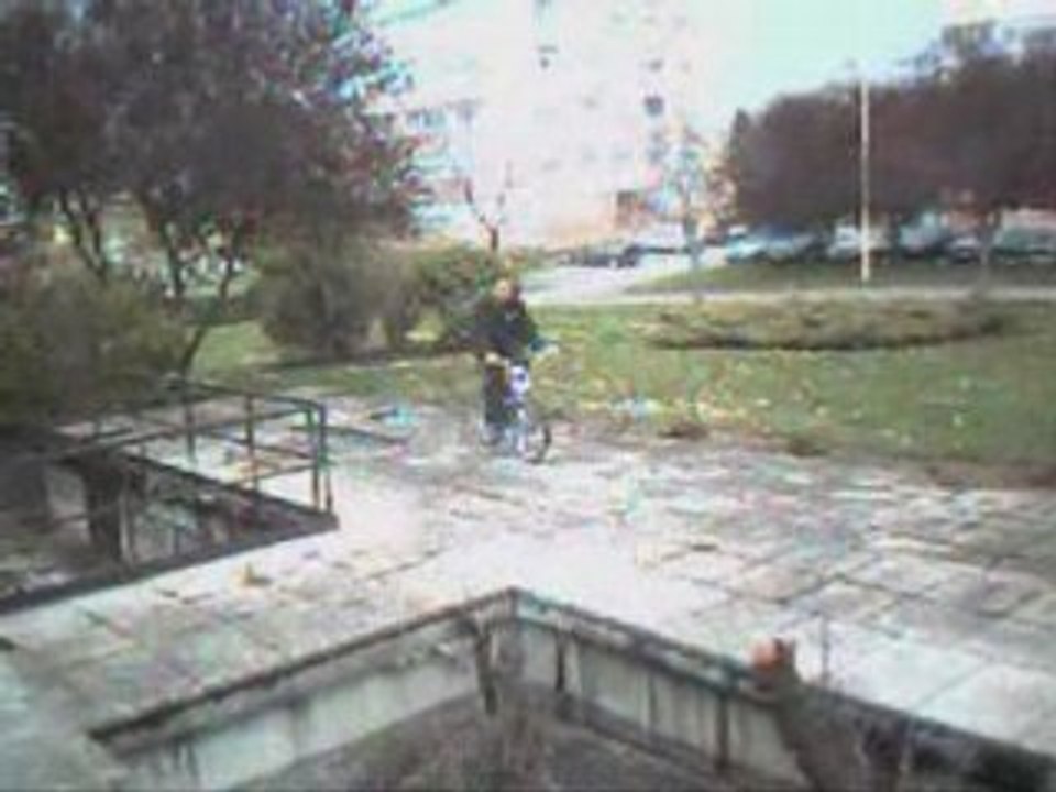 Jackass de la rue