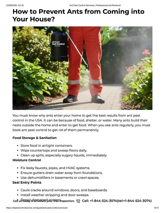 Ant Pest Control Services _ Professional Ant Removal