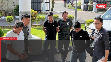 Tiga lelaki didenda RM250,000 simpan bangkai harimau belang