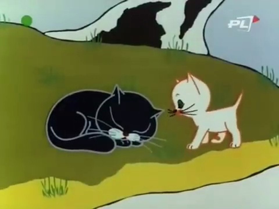 Kota filemona 13