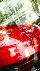 Oops I’m Not a Murphy - HerSceneDaily