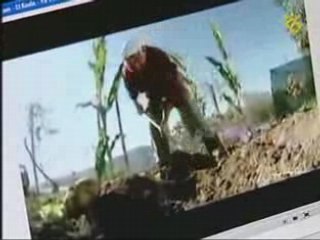 IB3 Informatiu 2008-05-16 / Dia Internet