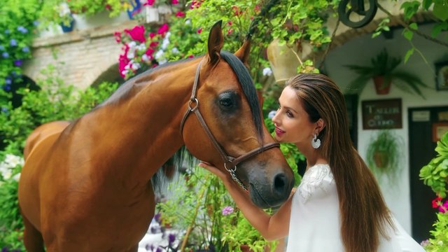 Patricia Cerezo se pronuncia sobre la posible doble boda de Paloma Cuevas y Luis Miguel