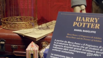 Un tuffo nel magico mondo di Harry Potter: The Exhibition a Milano