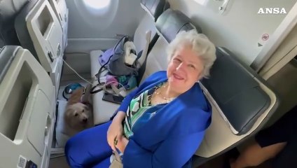 Su Ita il primo volo con due cani in cabina senza trasportino