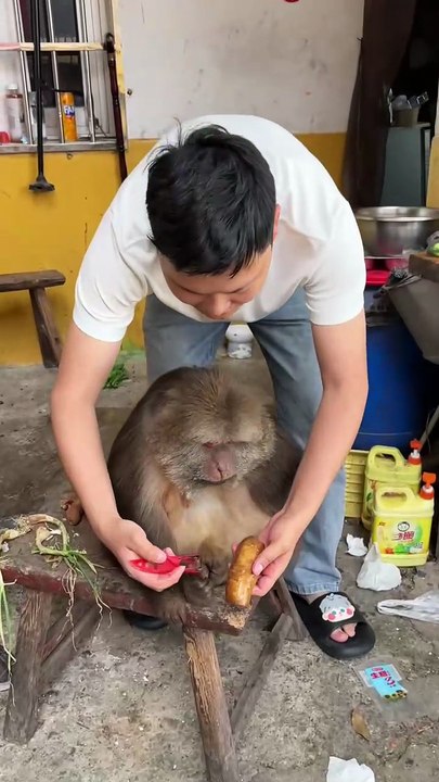 So calm and collected, just like a little angel, that’s Xingxing!
