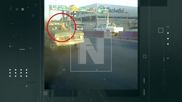 ¡Cruel! Conductor puso a un can sobre el capó de su camioneta en la avenida Blanco Galindo
