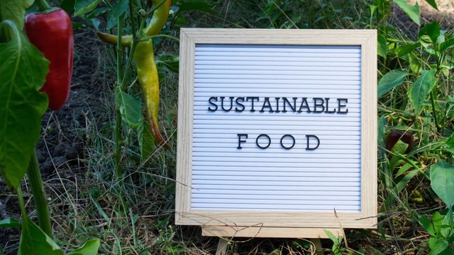 Are groceries previously seen as staples now luxury items, and how can we shop ethically during the cost of living crisis?