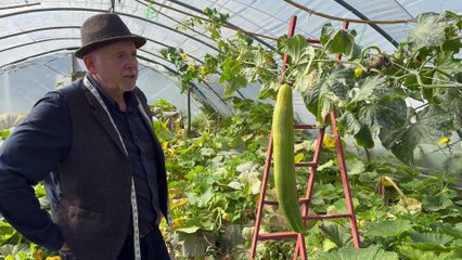 Champion big veg grower has record year with four world records