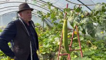 Champion big veg grower has record year with four world records
