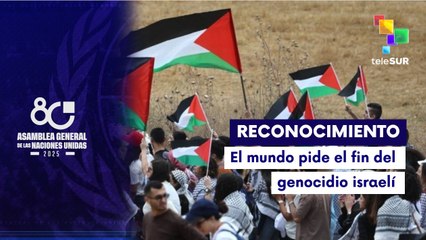 Países del mundo reconocen al Estado palestino