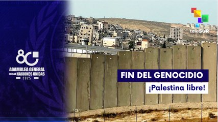 Entrevista | La agresión israelí busca trascender más allá de Oriente Medio