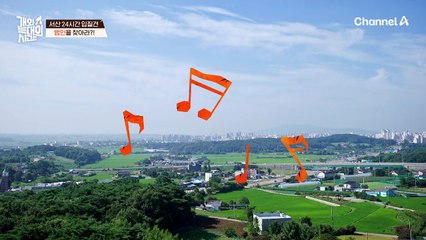 늑대 2호의 '입질'도 배워가는 동생 반려견?! 보호자는 답답한 마음뿐!