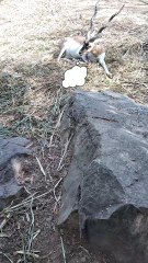 That's what you call it too. 😁