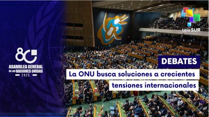 Jornada de debates en la 80° Asamblea General de la ONU