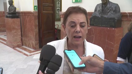 Bildu exige al Gobierno ir más allá del decreto sobre las armas y romper del todo con Israel