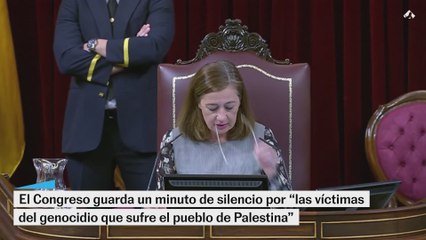 El Congreso guarda un minuto de silencio por "las víctimas del genocidio" en Gaza