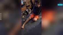Dog Defies Commands and Delivers Kiss Attack