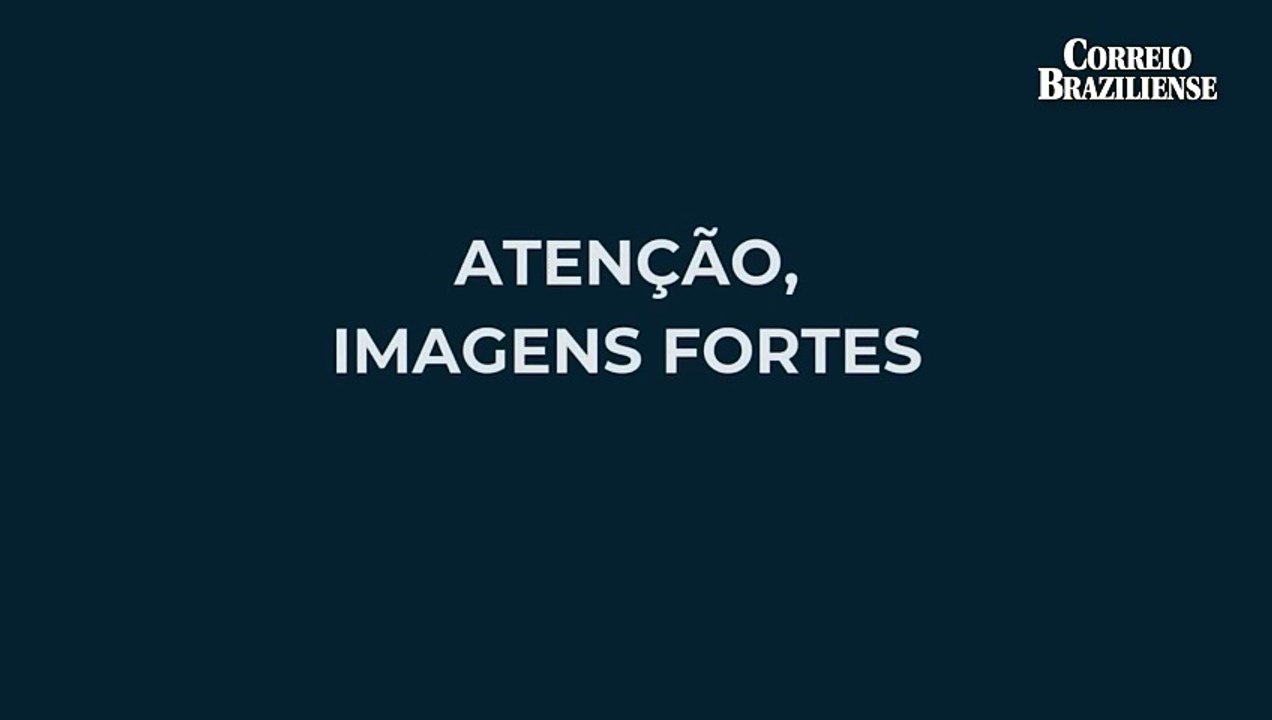 Viatura da PM atropela cachorro em Taguatinga e segue sem prestar socorro