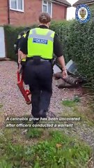 Watch as police 'bash down' door of Dudley property during drugs bust