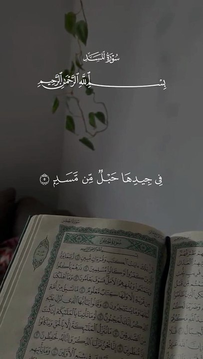 تلاوة من سورة النصر إلي الناس كاملة بصوت القارئ الشيخ أحمد العجمي