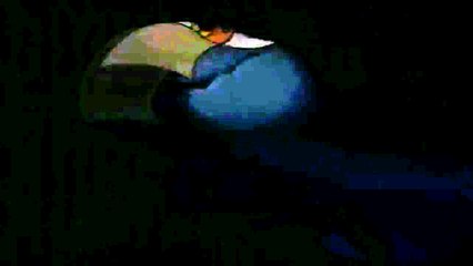 scooby doo y  los hermanos boo