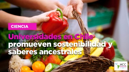 Mercado universitario en Colombia promueve la sostenibilidad y los saberes ancestrales